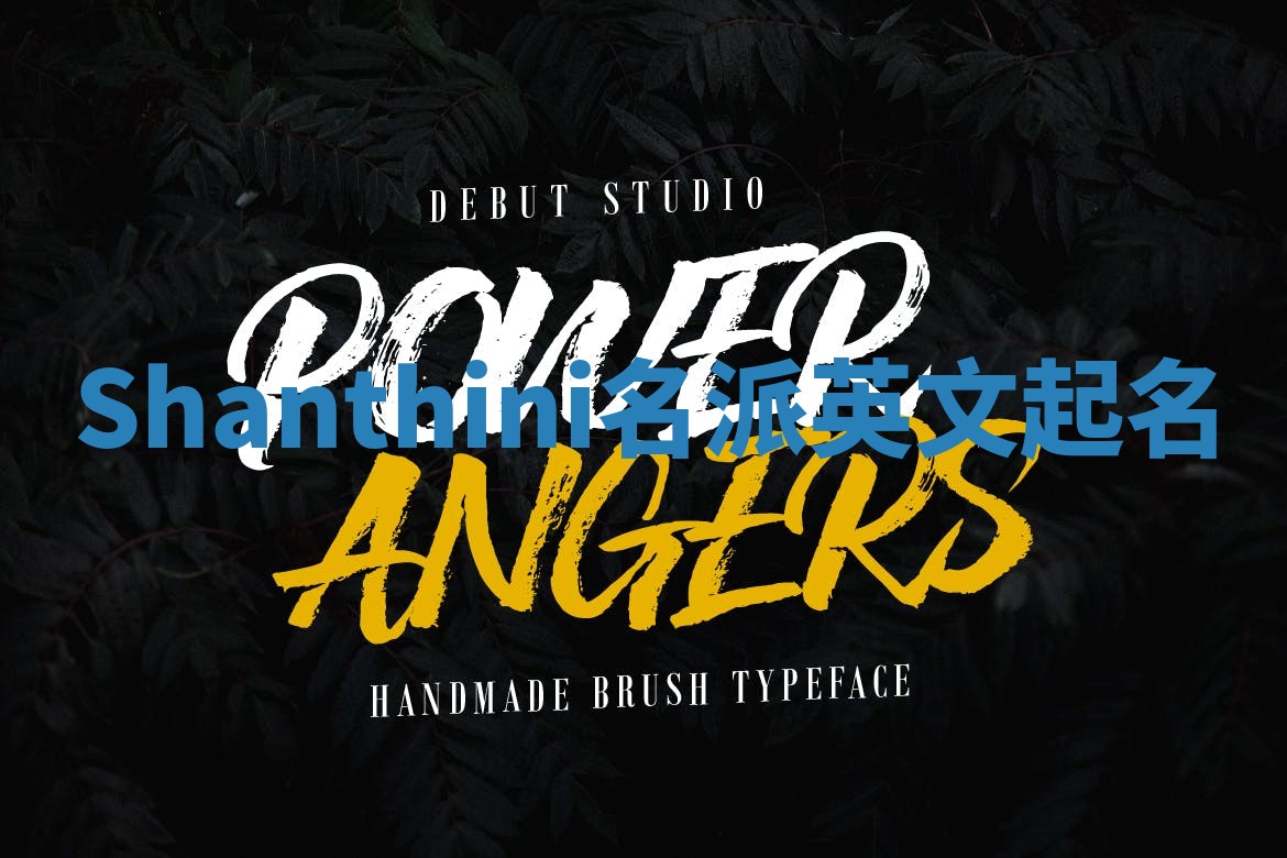 Shanthini名派英文起名