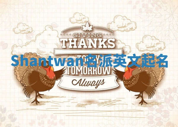 Shantwan名派英文起名