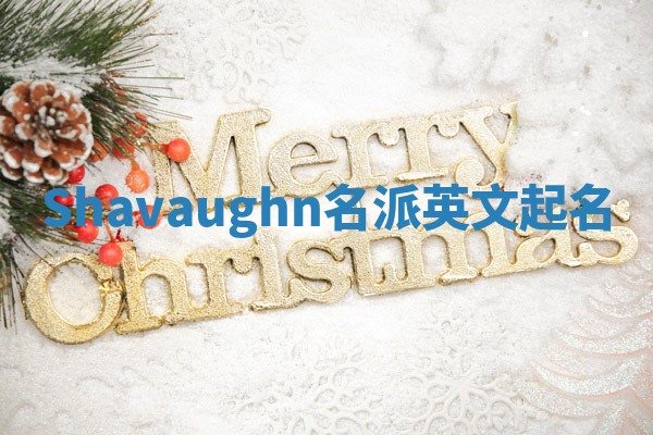Shavaughn名派英文起名