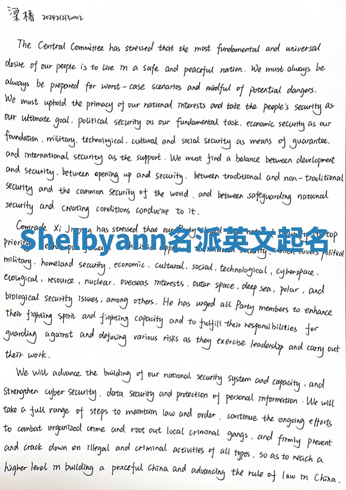 Shelbyann名派英文起名