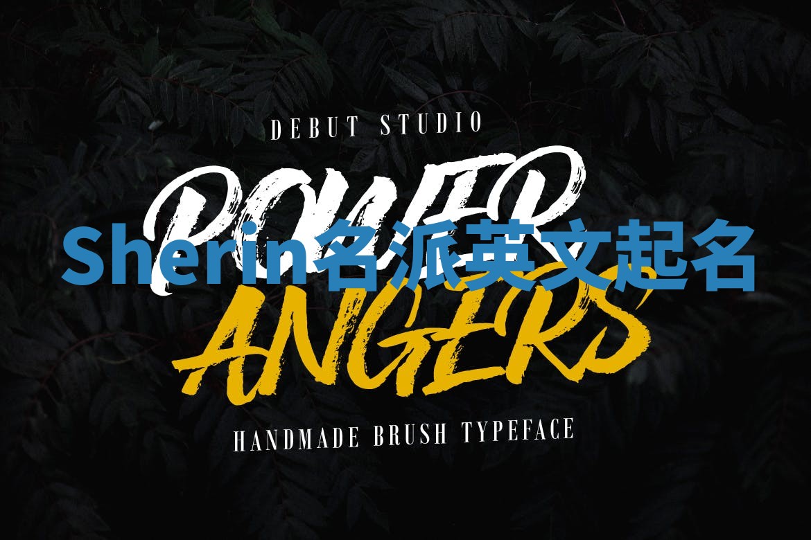 Sherin名派英文起名