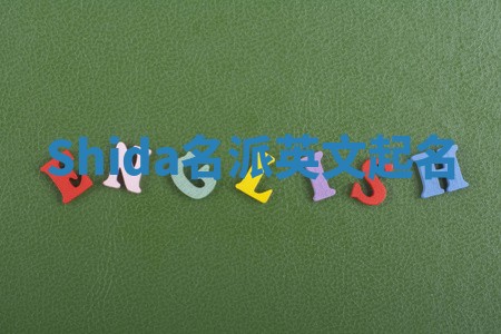 Shida名派英文起名