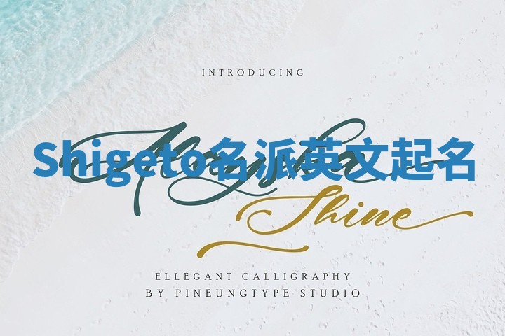 Shigeto名派英文起名