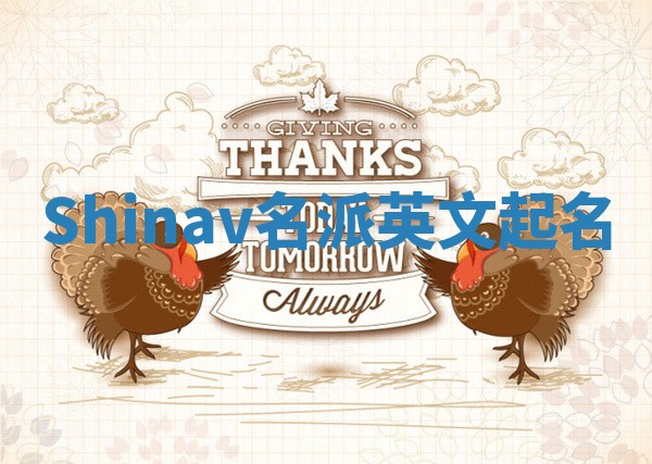 Shinav名派英文起名