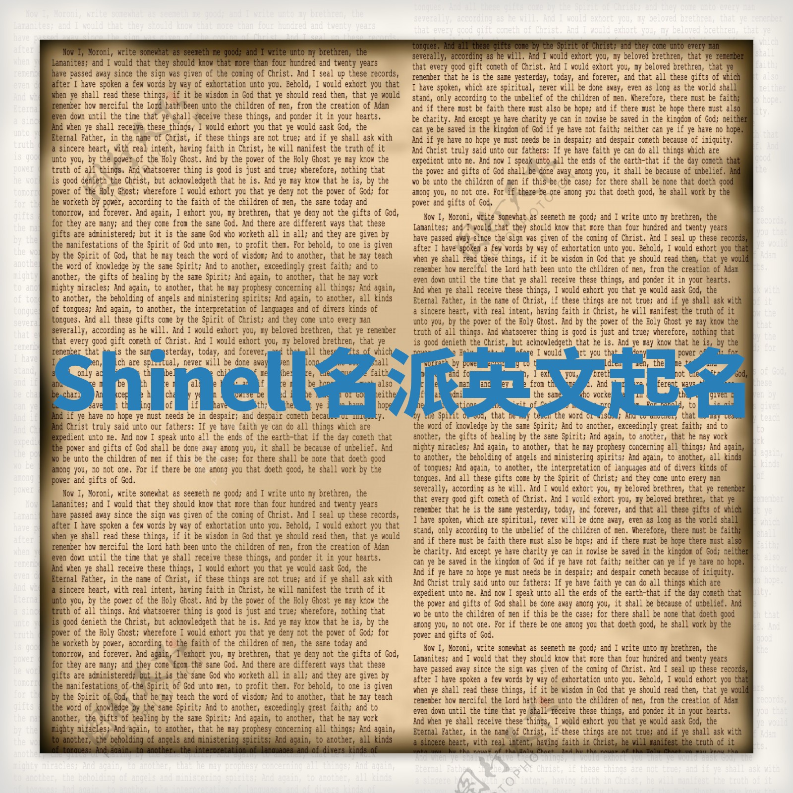 Shinell名派英文起名
