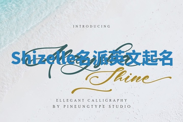 Shizelle名派英文起名