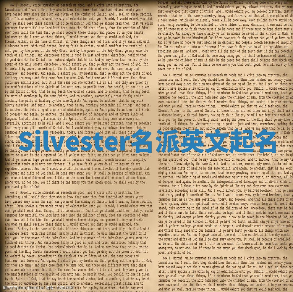 Silvester名派英文起名