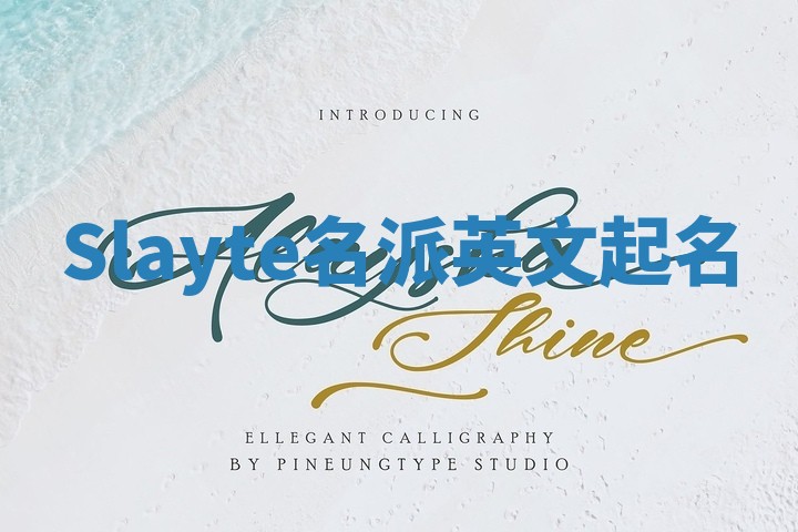 Slayte名派英文起名