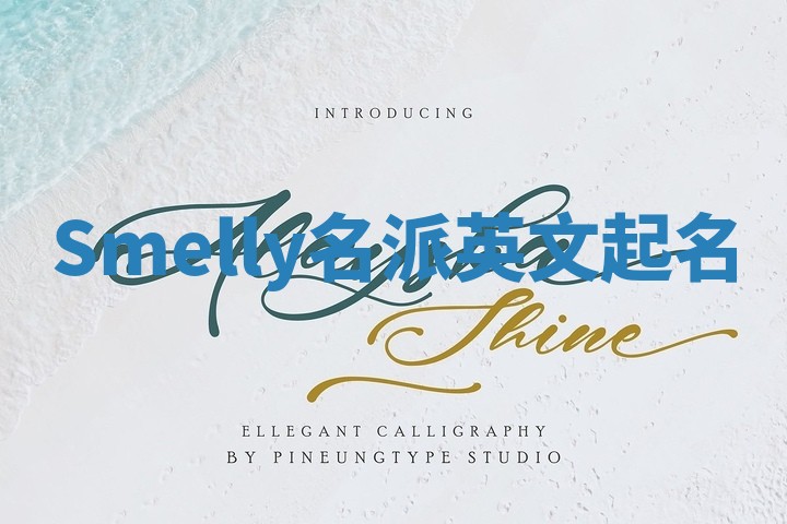 Smelly名派英文起名