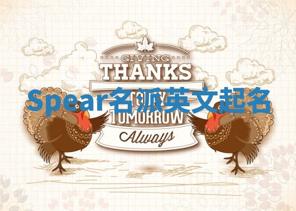 Spear名派英文起名