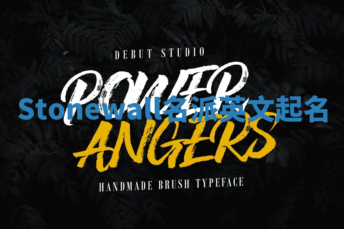 Stonewall名派英文起名