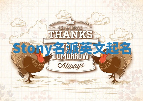 Stony名派英文起名