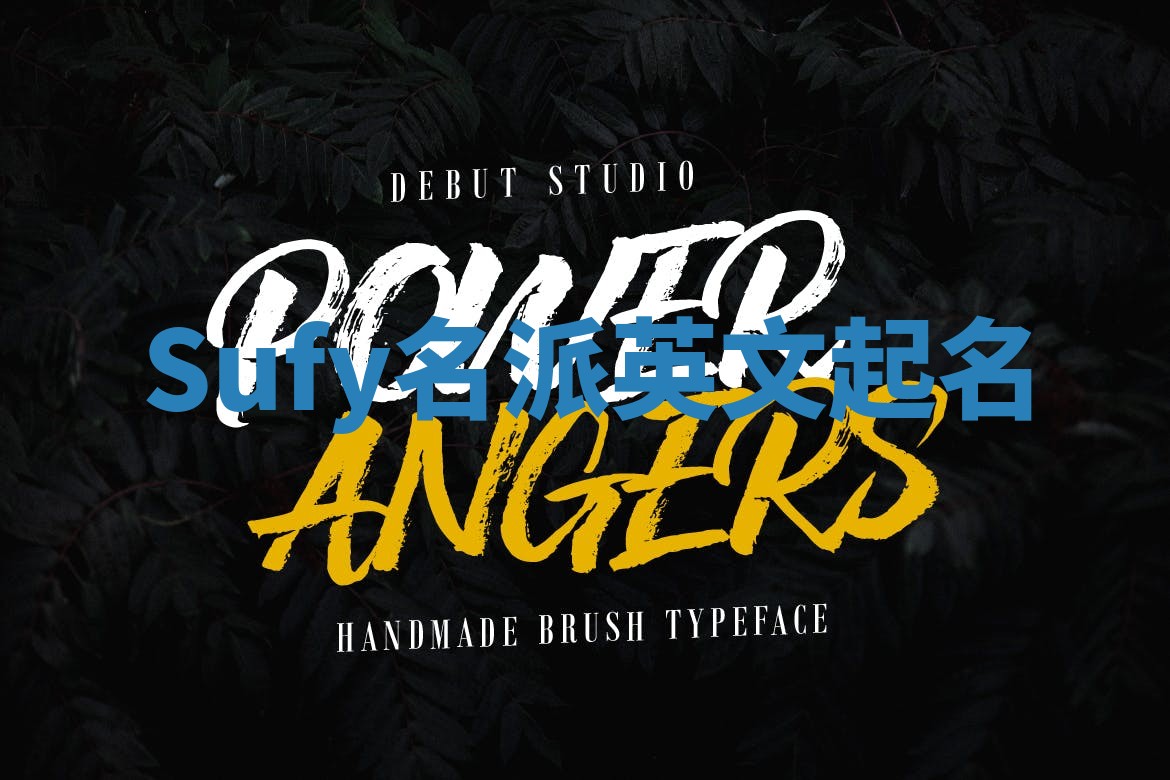 Sufy名派英文起名