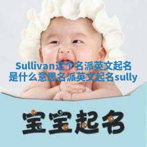 Sullivan这个名派英文起名是什么意思_名派英文起名sully