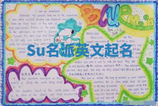 Su名派英文起名