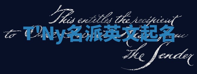 T'Ny名派英文起名