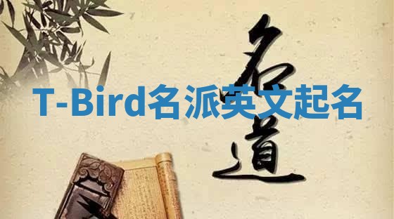 T-Bird名派英文起名