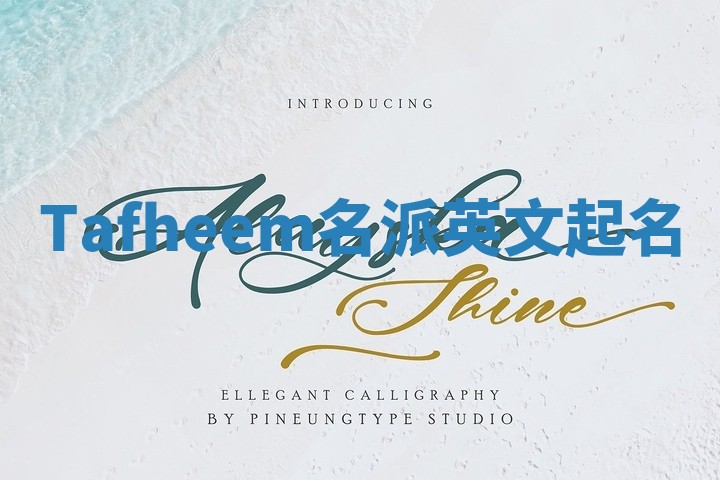 Tafheem名派英文起名