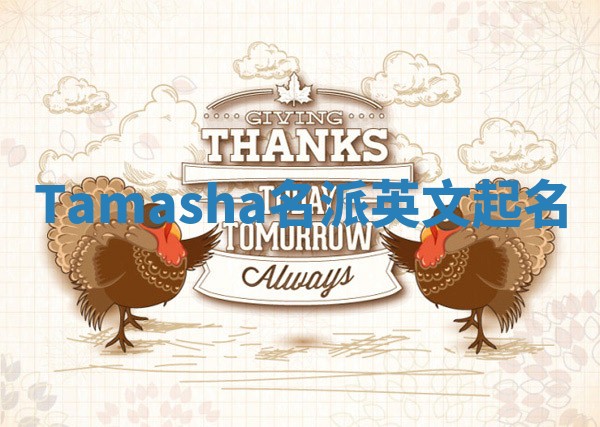 Tamasha名派英文起名