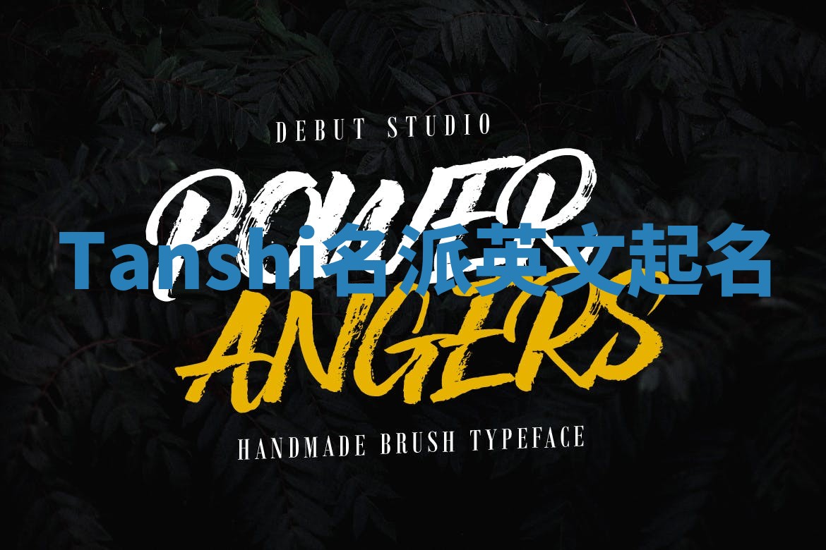 Tanshi名派英文起名