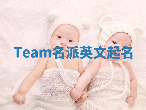 Team名派英文起名