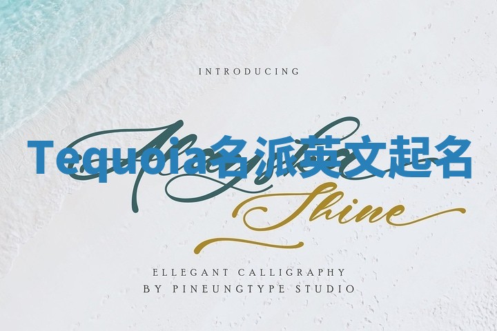 Tequoia名派英文起名