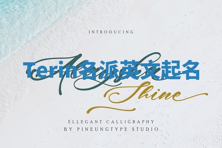 Terin名派英文起名