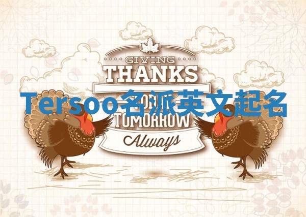 Tersoo名派英文起名