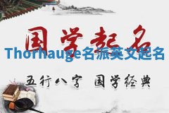 Thorhauge名派英文起名