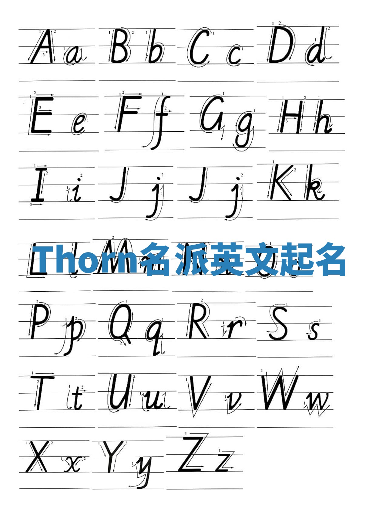 Thorn名派英文起名