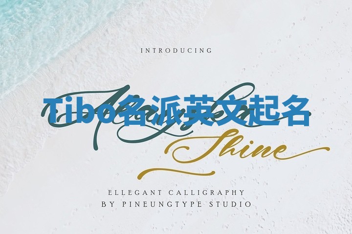 Tibo名派英文起名