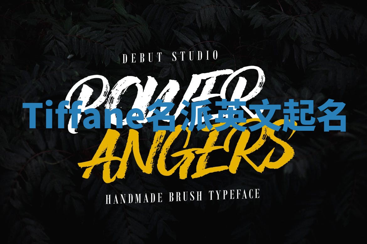Tiffane名派英文起名