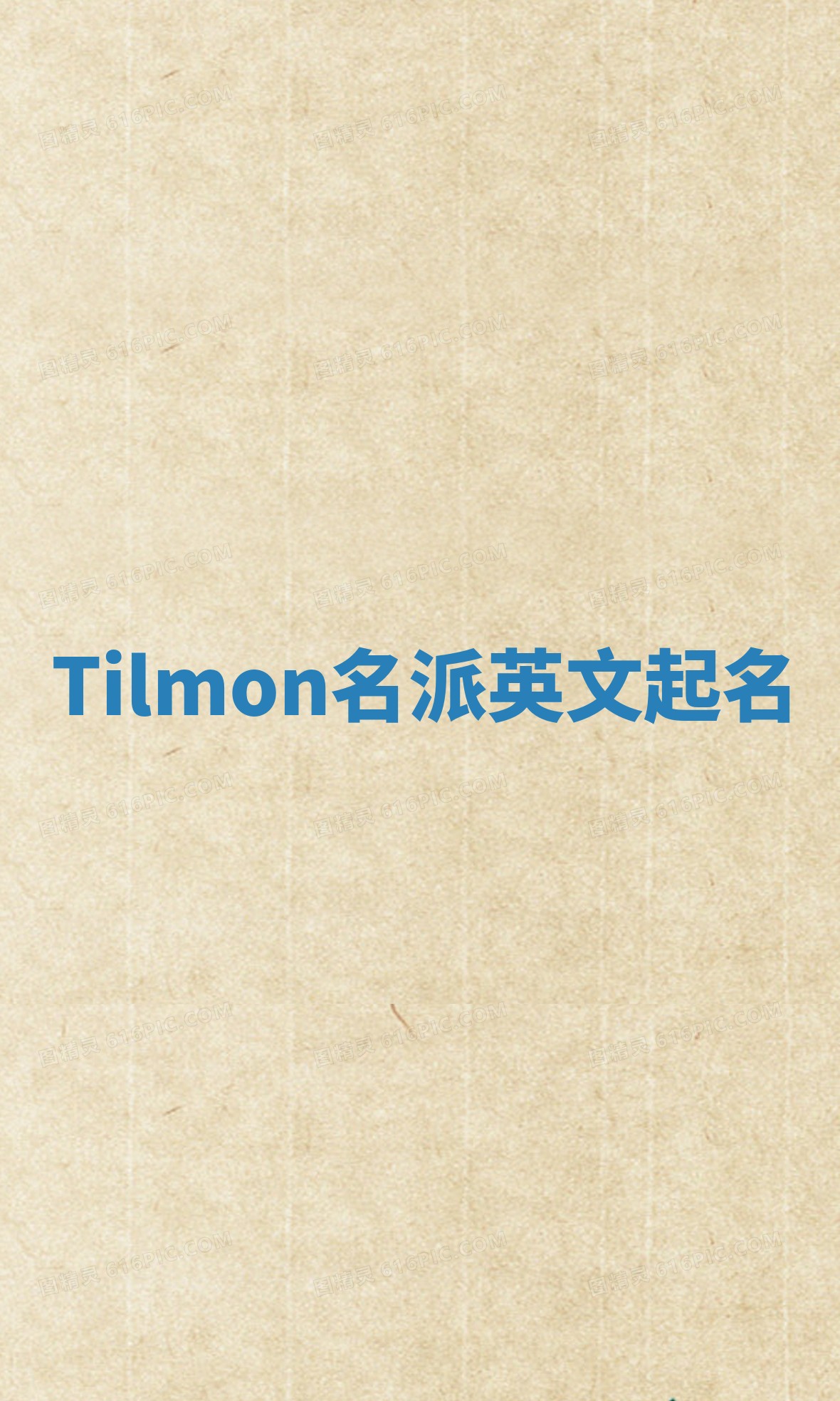 Tilmon名派英文起名
