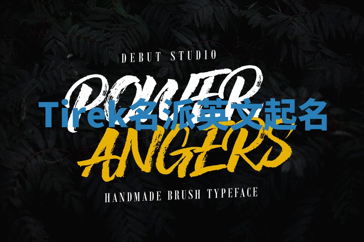 Tirek名派英文起名