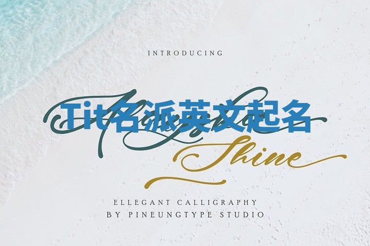 Tit名派英文起名