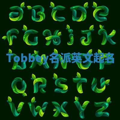 Tobbey名派英文起名
