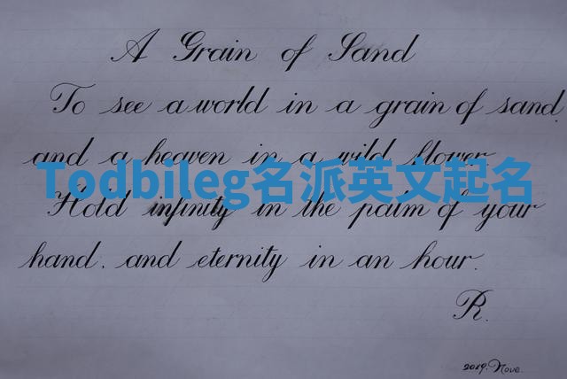 Todbileg名派英文起名