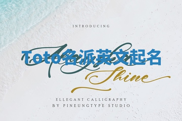 Toto名派英文起名