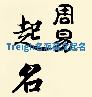 Treigh名派英文起名