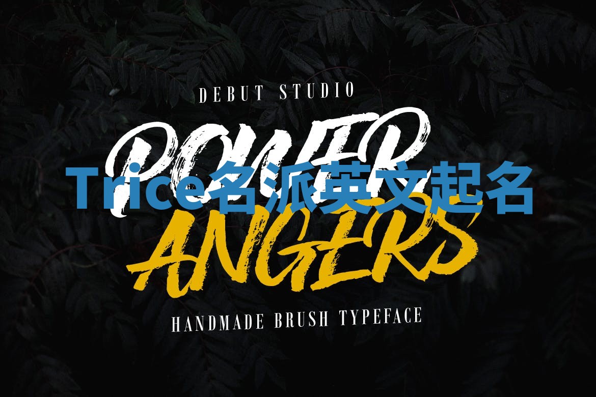 Trice名派英文起名