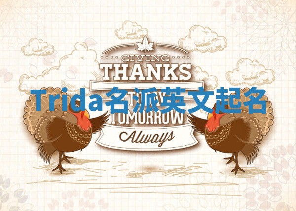 Trida名派英文起名
