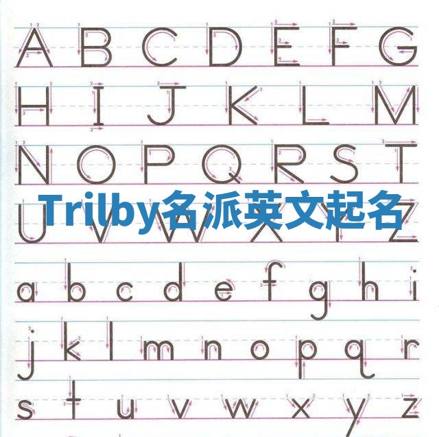 Trilby名派英文起名