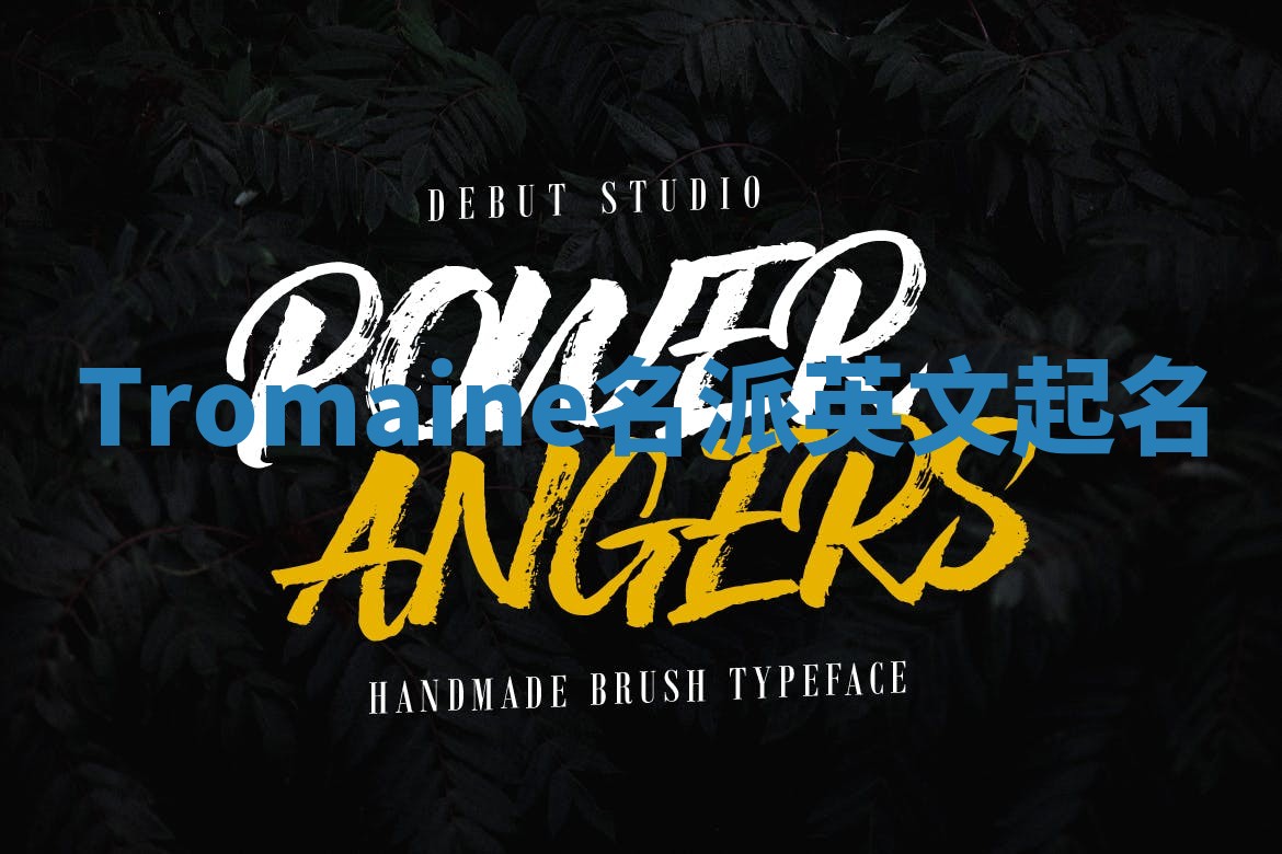 Tromaine名派英文起名