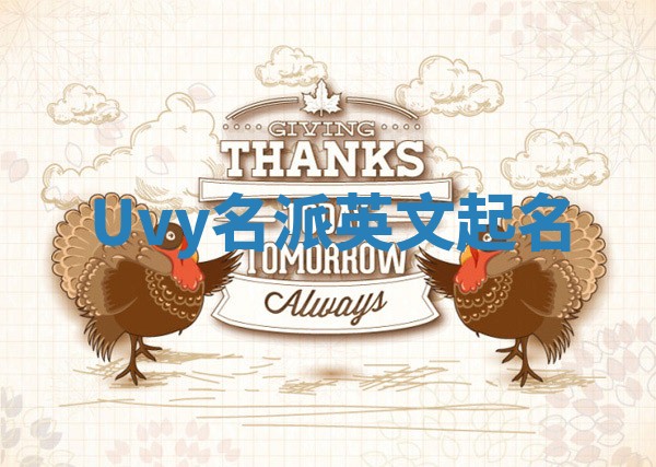 Uvy名派英文起名