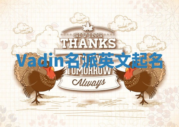 Vadin名派英文起名