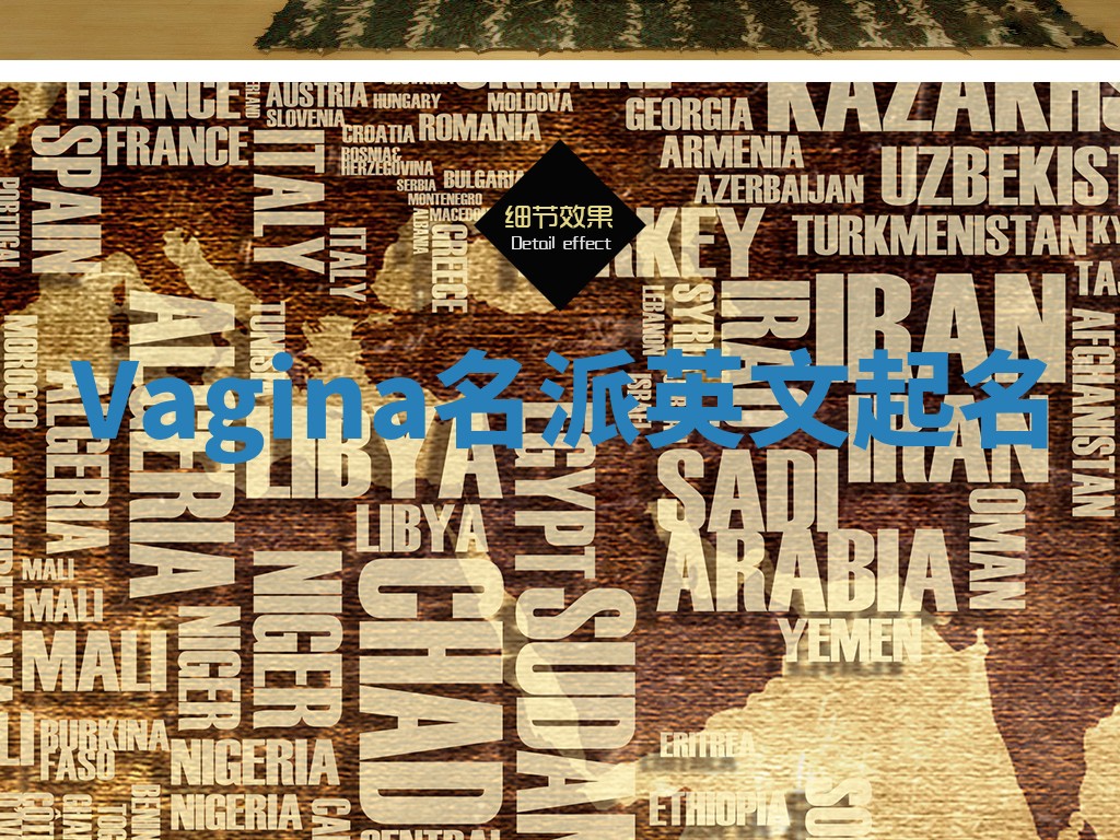 Vagina名派英文起名