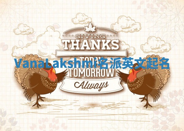 VanaLakshmi名派英文起名