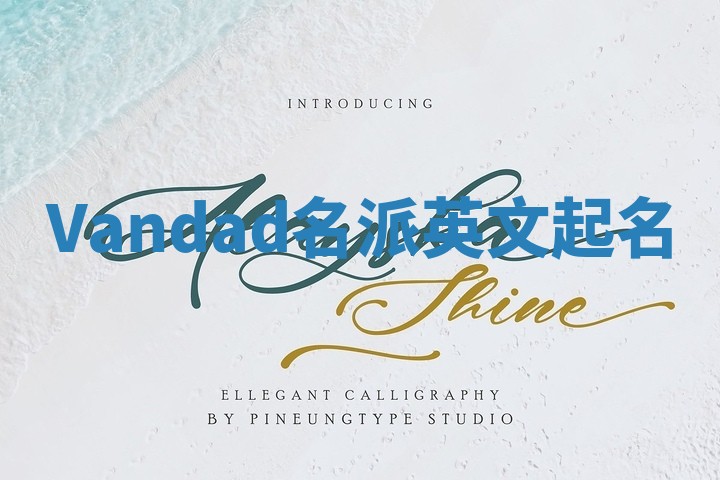 Vandad名派英文起名