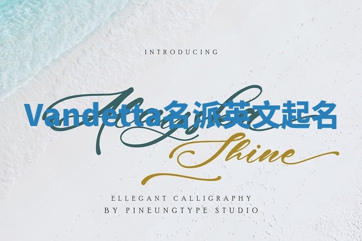 Vandetta名派英文起名