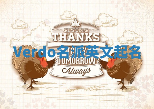 Verdo名派英文起名